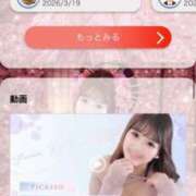 ヒメ日記 2026/03/21 16:19 投稿 ふわり 熊本ピカソ