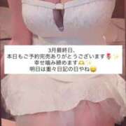 ヒメ日記 2026/03/31 15:53 投稿 ふわり 熊本ピカソ