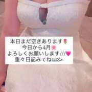 ヒメ日記 2026/04/01 15:33 投稿 ふわり 熊本ピカソ