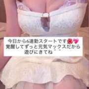 ヒメ日記 2026/04/04 15:53 投稿 ふわり 熊本ピカソ