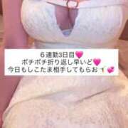 ヒメ日記 2026/04/06 15:43 投稿 ふわり 熊本ピカソ