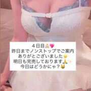 ヒメ日記 2026/04/07 15:53 投稿 ふわり 熊本ピカソ