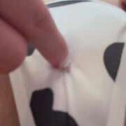 ヒメ日記 2026/04/07 17:19 投稿 ふわり 熊本ピカソ