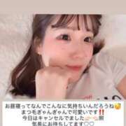 ヒメ日記 2026/04/08 15:53 投稿 ふわり 熊本ピカソ