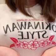 ヒメ日記 2026/04/08 17:43 投稿 ふわり 熊本ピカソ