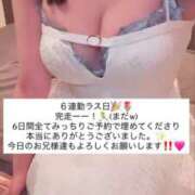 ヒメ日記 2026/04/09 15:45 投稿 ふわり 熊本ピカソ