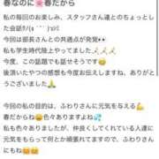 ヒメ日記 2026/04/10 15:33 投稿 ふわり 熊本ピカソ