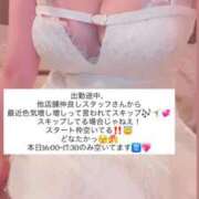 ヒメ日記 2026/04/15 15:43 投稿 ふわり 熊本ピカソ