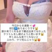 ヒメ日記 2026/04/23 15:53 投稿 ふわり 熊本ピカソ