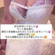 ヒメ日記 2026/04/24 15:43 投稿 ふわり 熊本ピカソ