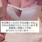 ヒメ日記 2026/04/25 15:53 投稿 ふわり 熊本ピカソ