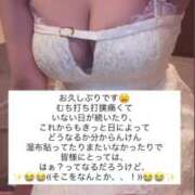 ヒメ日記 2026/05/22 19:10 投稿 ふわり 熊本ピカソ