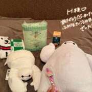 ヒメ日記 2026/05/29 08:13 投稿 ふわり 熊本ピカソ