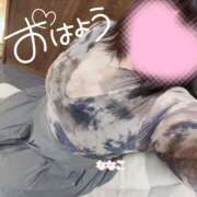 ヒメ日記 2024/12/09 11:34 投稿 ななこ ちゃんこ本厚木店