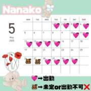 ヒメ日記 2025/05/02 19:02 投稿 ななこ ちゃんこ本厚木店