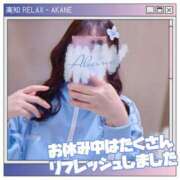 ヒメ日記 2024/05/22 06:00 投稿 新人 あかね（Akane） 出張メンズエステ RELAX【DIVAグループ】