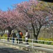 ヒメ日記 2025/02/27 09:26 投稿 みき もしも優しいお姉さんが本気になったら...横浜店