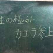 ヒメ日記 2025/04/23 21:08 投稿 カエラ 性の極み 技の伝道師 Ver.新横浜店