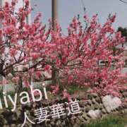 ヒメ日記 2025/04/17 22:37 投稿 【体験】みやび 人妻華道－上田店