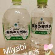 ヒメ日記 2025/04/19 22:32 投稿 【体験】みやび 人妻華道－上田店