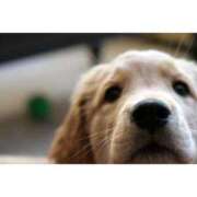 ヒメ日記 2025/07/10 11:02 投稿 あけみ 桃色奥様 松戸本店