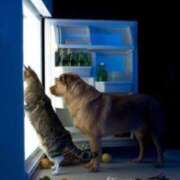 ヒメ日記 2025/07/13 08:26 投稿 あけみ 桃色奥様 松戸本店