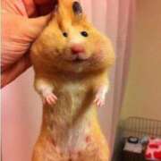 ヒメ日記 2025/07/13 09:54 投稿 あけみ 桃色奥様 松戸本店