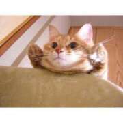 ヒメ日記 2025/08/09 07:43 投稿 あけみ 桃色奥様 松戸本店