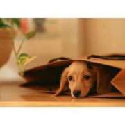 ヒメ日記 2025/09/15 15:06 投稿 あけみ 桃色奥様 松戸本店