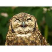 ヒメ日記 2026/01/30 22:42 投稿 あけみ 桃色奥様 松戸本店