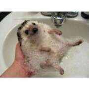 ヒメ日記 2026/02/07 19:24 投稿 あけみ 桃色奥様 松戸本店