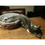 ヒメ日記 2026/02/20 10:52 投稿 あけみ 桃色奥様 松戸本店