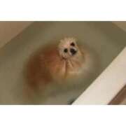 ヒメ日記 2026/02/27 10:56 投稿 あけみ 桃色奥様 松戸本店