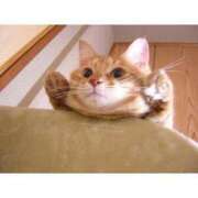 ヒメ日記 2026/02/27 18:44 投稿 あけみ 桃色奥様 松戸本店