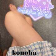 ヒメ日記 2025/06/10 07:16 投稿 コノハ AMOUR（アムール）