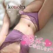 ヒメ日記 2025/06/18 12:14 投稿 コノハ AMOUR（アムール）