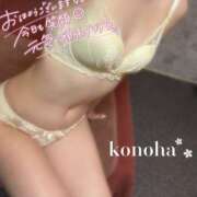 ヒメ日記 2025/07/02 10:20 投稿 コノハ AMOUR（アムール）