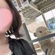 はる います😆 桃李（とうり）