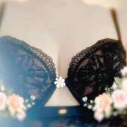 ヒメ日記 2025/01/25 11:18 投稿 はるか 京都BOOK MARK（ブックマーク）