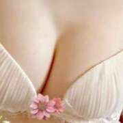 ヒメ日記 2025/02/12 12:08 投稿 はるか 京都BOOK MARK（ブックマーク）