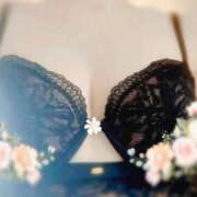 ヒメ日記 2025/07/05 11:49 投稿 はるか 京都BOOK MARK（ブックマーク）