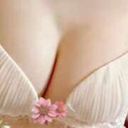 ヒメ日記 2025/07/15 10:38 投稿 はるか 京都BOOK MARK（ブックマーク）