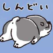 ヒメ日記 2024/12/16 23:10 投稿 みく 熟女の風俗最終章 宇都宮店