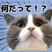 ヒメ日記 2024/12/19 02:10 投稿 みく 熟女の風俗最終章 宇都宮店