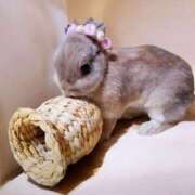 ヒメ日記 2025/01/21 02:40 投稿 みく 熟女の風俗最終章 宇都宮店