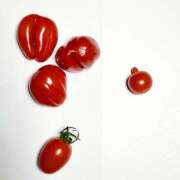 ヒメ日記 2025/03/07 14:51 投稿 みく 熟女の風俗最終章 宇都宮店