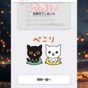 ヒメ日記 2025/03/14 05:21 投稿 みく 熟女の風俗最終章 宇都宮店