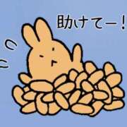 ヒメ日記 2025/11/21 06:11 投稿 みく 熟女の風俗最終章 宇都宮店