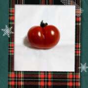 ヒメ日記 2025/12/25 20:31 投稿 みく 熟女の風俗最終章 宇都宮店