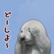 ヒメ日記 2026/03/31 16:31 投稿 みく 熟女の風俗最終章 宇都宮店